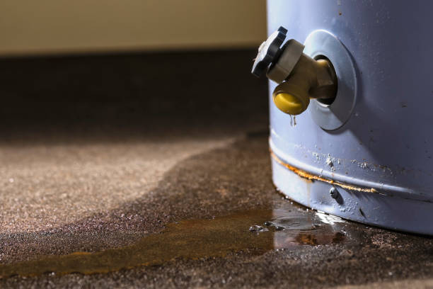 Best Carpet water damage restoration  in Ashley, PA