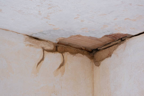 Best Commercial water damage restoration  in Ashley, PA