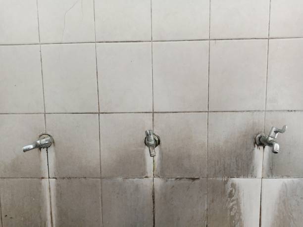 Best Water damage restoration near me  in Ashley, PA