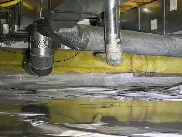 Best Sewage cleanup and water damage restoration  in Ashley, PA