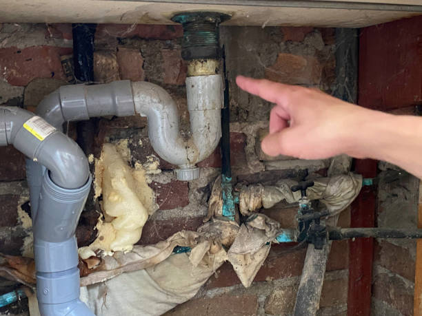 Best 24/7 water damage repair  in Ashley, PA