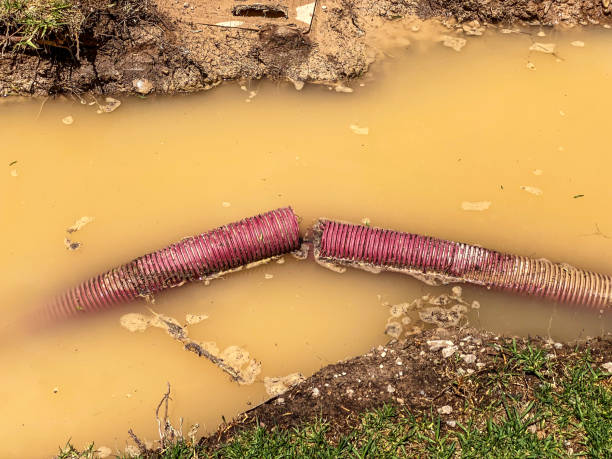 Best Basement water damage restoration  in Ashley, PA