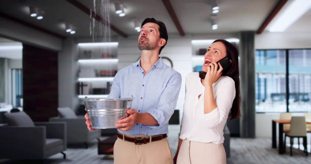 Best Local water damage restoration  in Ashley, PA